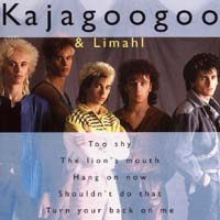 Best of KajaGooGoo & Limahl